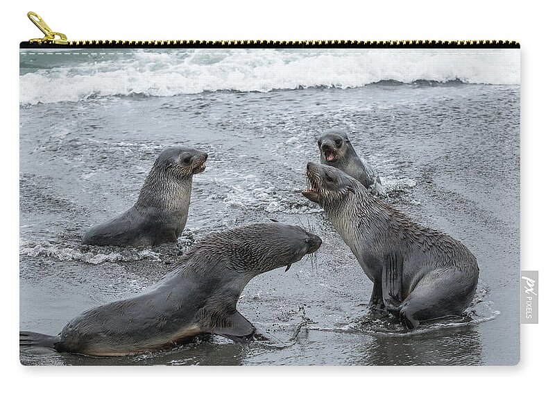 Sea Lion Zip Pouch featuring the photograph Baby Sea Lions Playing in the Surf by Linda Villers