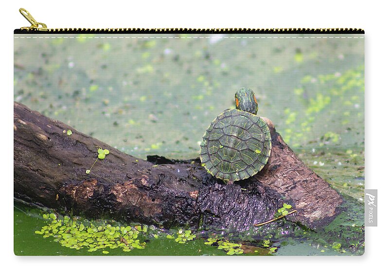 Turtle Zip Pouch featuring the photograph Baby Turtle Enjoying a Summer Day by Auden Johnson