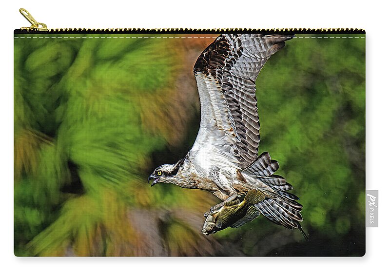 Osprey Zip Pouch featuring the photograph Back to the nest. by Stuart Harrison