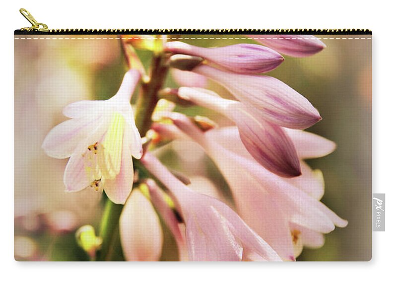 Flowers Zip Pouch featuring the photograph Backlit Hosta by Jessica Jenney