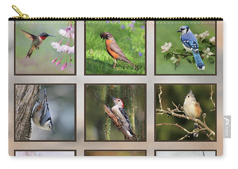 Birds Zip Pouch featuring the photograph Backyard Birds by Lori Deiter