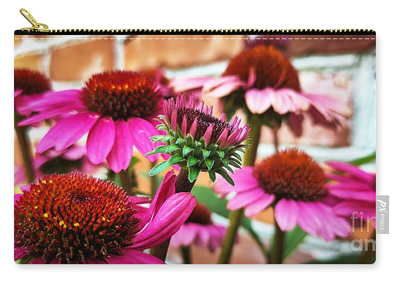 Coneflower Zip Pouch featuring the photograph Backyard Color by Robert Knight