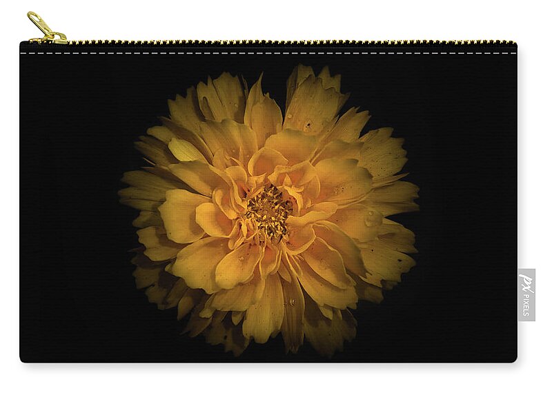 Brian Carson Zip Pouch featuring the photograph Backyard Flowers 79 Color Version by Brian Carson