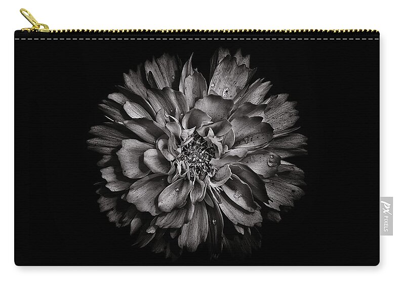 Brian Carson Zip Pouch featuring the photograph Backyard Flowers In Black And White 79 by Brian Carson