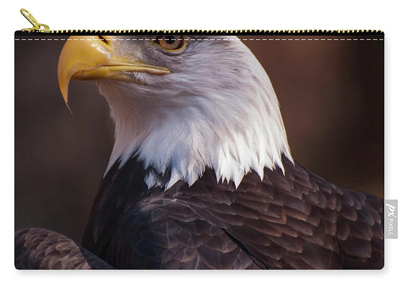 Bald Eagle Carry-all Pouch featuring the photograph Bald Eagle 2 by Flees Photos