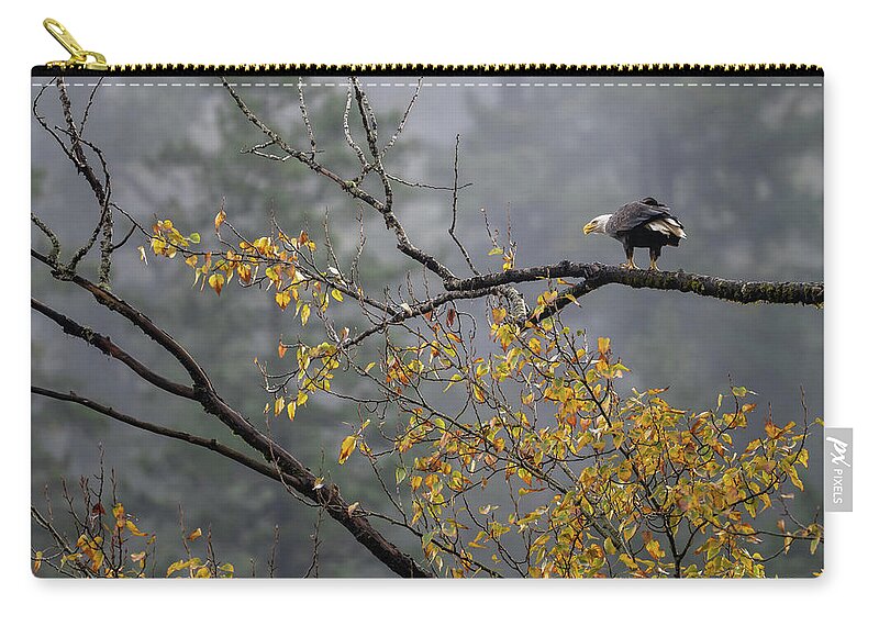 Bird Zip Pouch featuring the photograph Bald Eagle in Autumn by Bill Cubitt