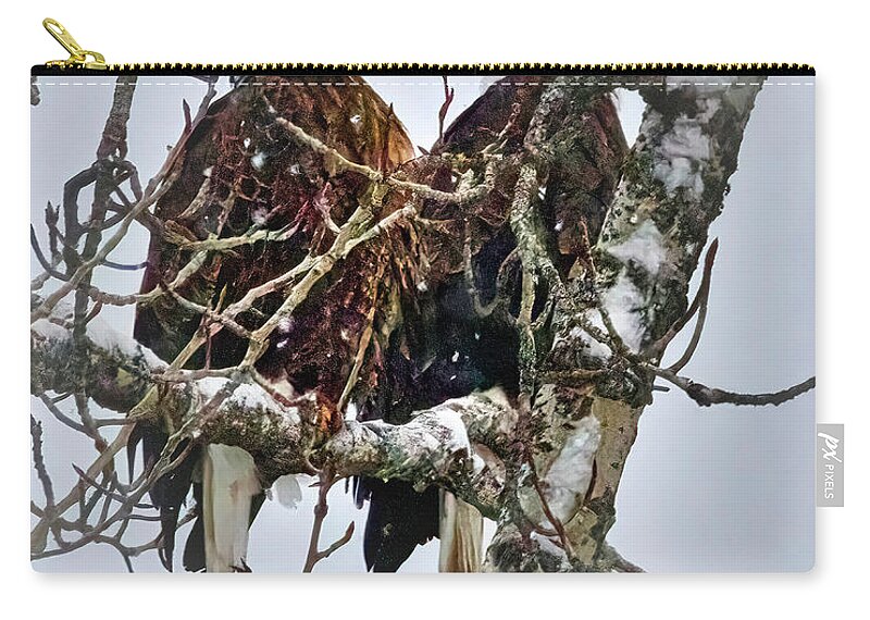 Eagle Zip Pouch featuring the photograph Bald Eagle Pair by Thomas Nay