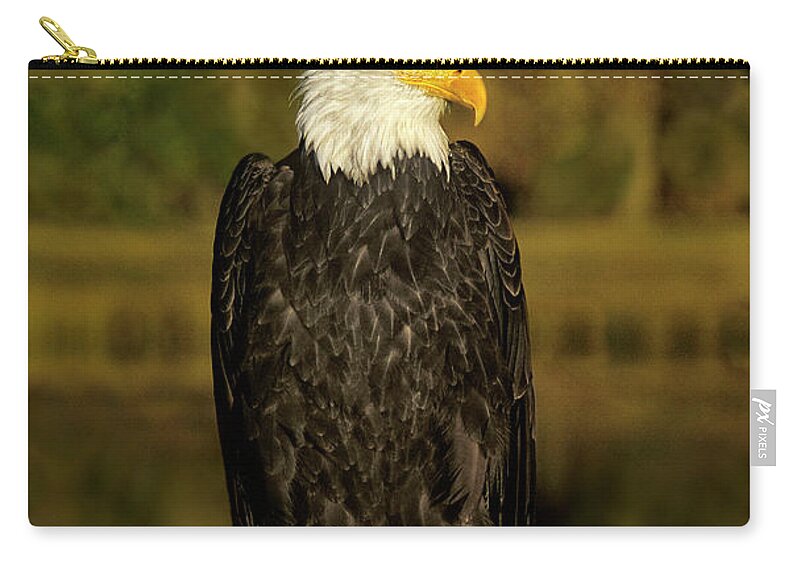 Dave Welling Zip Pouch featuring the photograph Bald Eagle Perched On Snag by Dave Welling