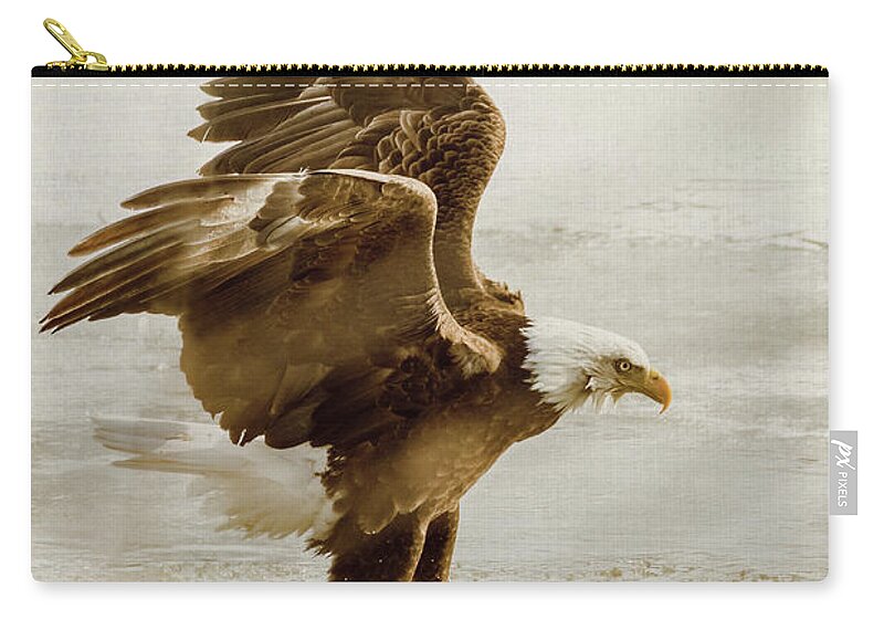 Bird Zip Pouch featuring the photograph Bald Eagle Series #2 Eagle Has Landed by Patti Deters