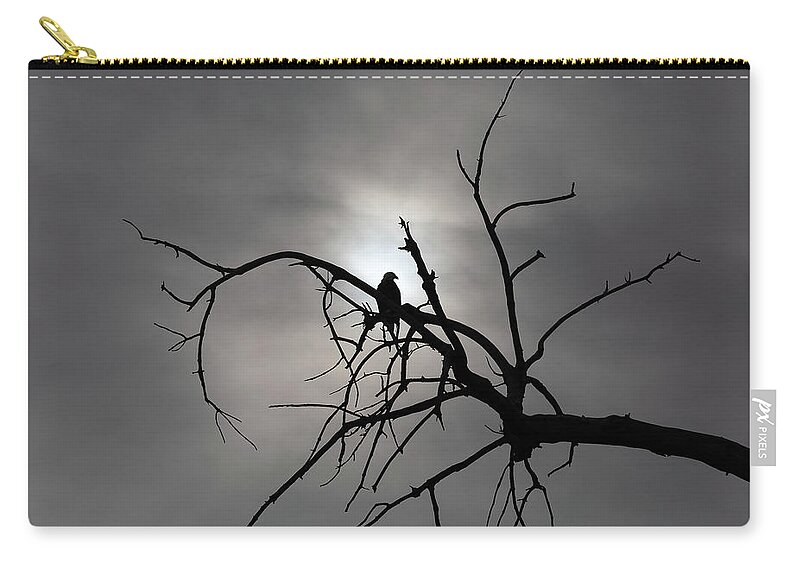 Bald Eagle Zip Pouch featuring the photograph Bald Eagle Silhouetted Against a Winter Sky by Tony Hake