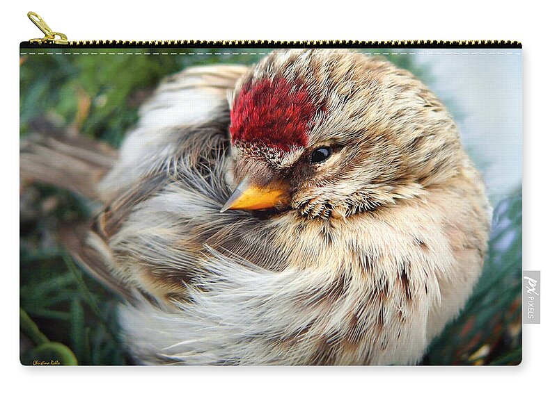 Bird Zip Pouch featuring the photograph Ball of Feathers by Christina Rollo