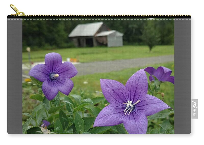 Balloon Flower Zip Pouch featuring the photograph Balloon Flowers and Barn by Vicki Noble