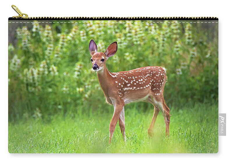 Deer Zip Pouch featuring the photograph Bambi by Pam Rendall