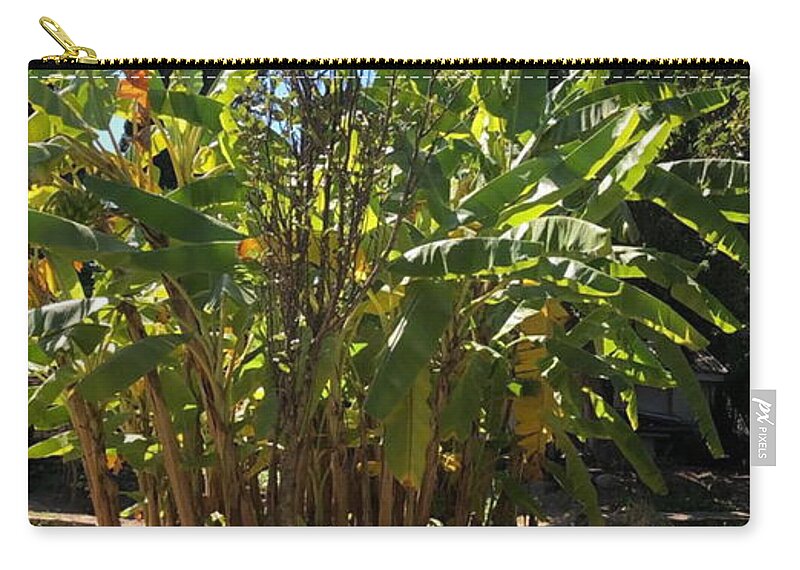 All Zip Pouch featuring the digital art Banana Plants in Backyard KN10 by Art Inspirity
