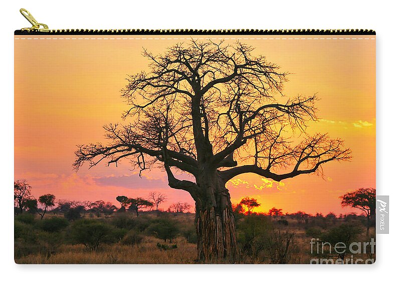 Arid Climate Zip Pouch featuring the photograph Baobab tree at sunset by Bruce Block