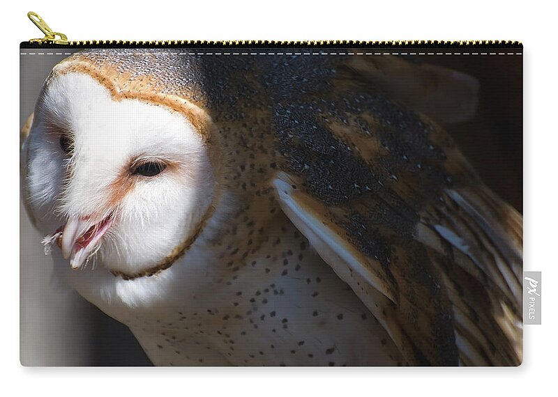 Barn Owl Carry-all Pouch featuring the photograph Barn Owl 1 by Flees Photos