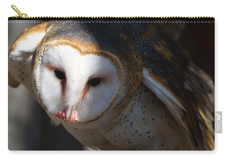 Barn Owl Carry-all Pouch featuring the photograph Barn Owl Eating 2 by Flees Photos