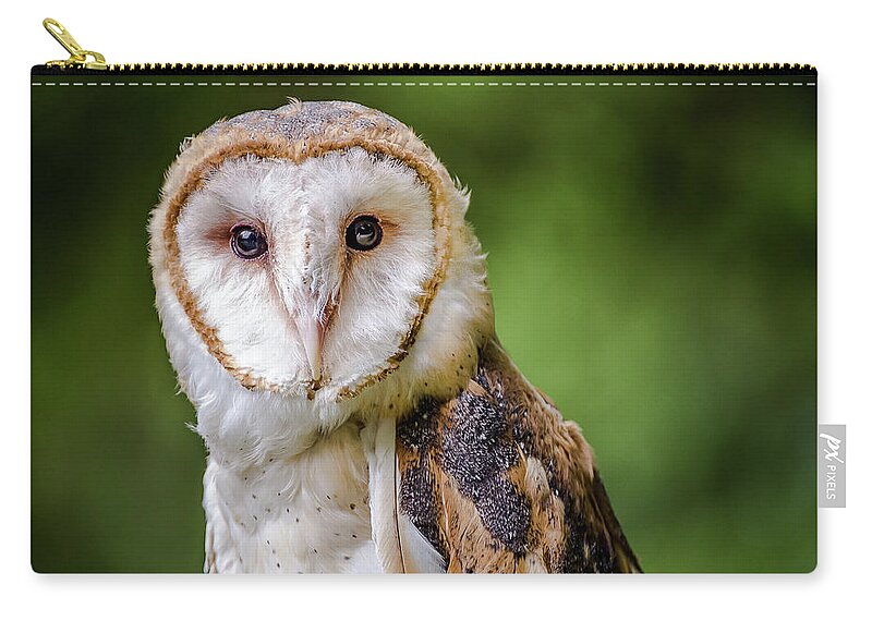 Raptors Owl Hawk Zip Pouch featuring the photograph Barn owl eyes by Robert Miller