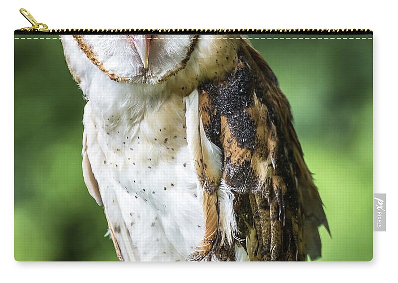 Raptors Owl Barn Owl Carry-all Pouch featuring the photograph Barn owl by Robert Miller