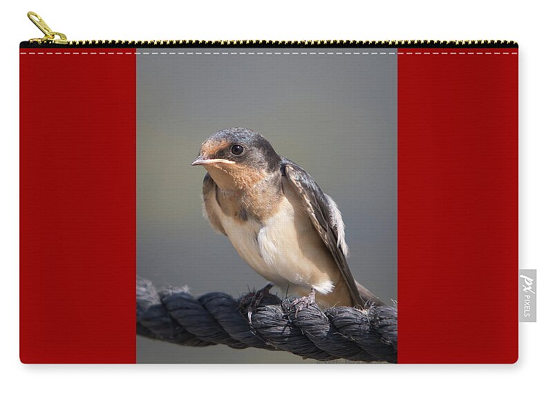Barn Swallow Zip Pouch featuring the photograph Barn Swallow on Rope I by Patti Deters
