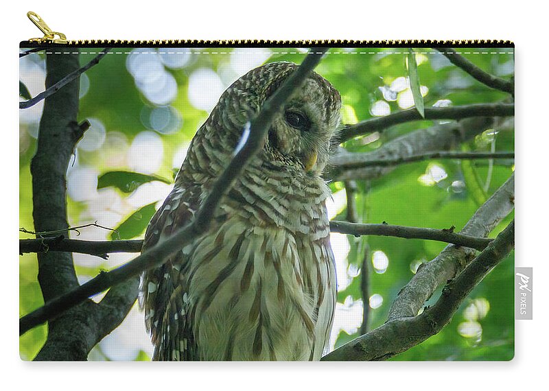 Barred Zip Pouch featuring the photograph Barred Owl by David Beechum