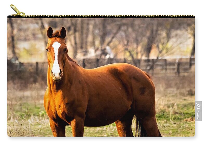Horse Carry-all Pouch featuring the photograph Bay Horse 2 by C Winslow Shafer