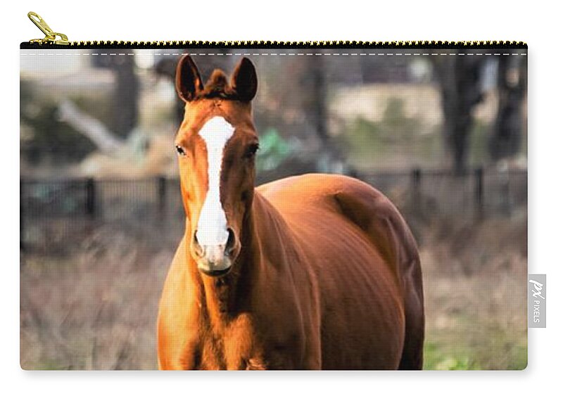 Horse Carry-all Pouch featuring the photograph Bay Horse 4 by C Winslow Shafer