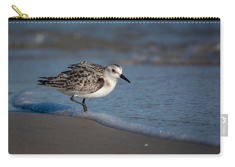 Bird Carry-all Pouch featuring the photograph Beach Bully by Linda Bonaccorsi
