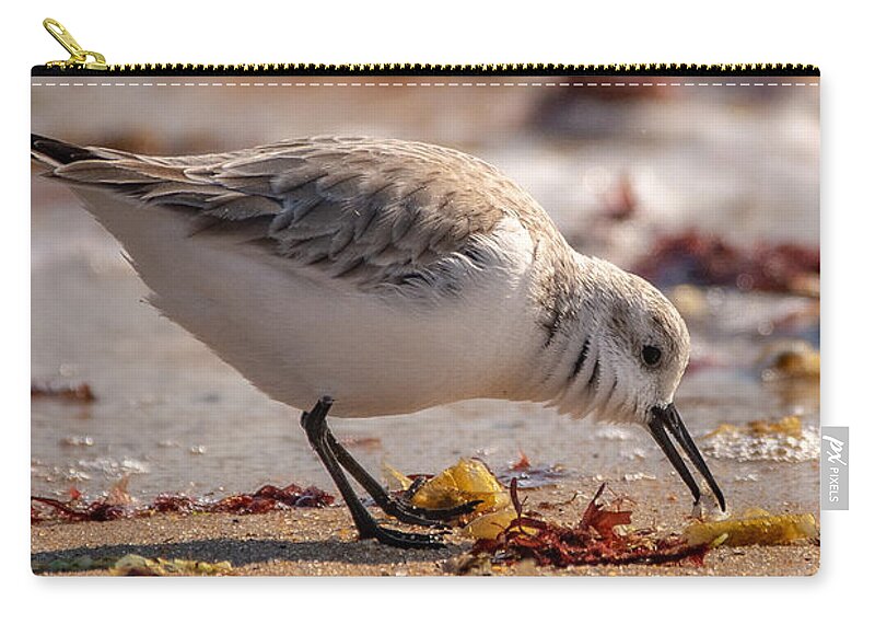 Shore Bird Carry-all Pouch featuring the photograph Beach Salad by Linda Bonaccorsi