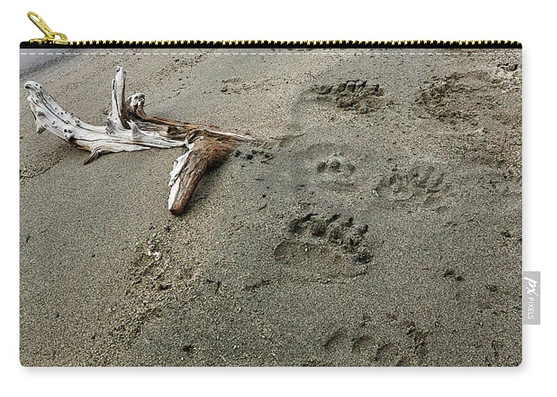 Alaska Zip Pouch featuring the photograph Bear Tracks in Alaska by Cheryl Strahl