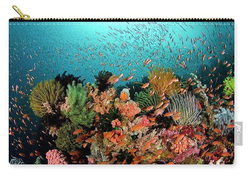Coral Reef Zip Pouch featuring the photograph Beatrice 1 by Tanya G Burnett