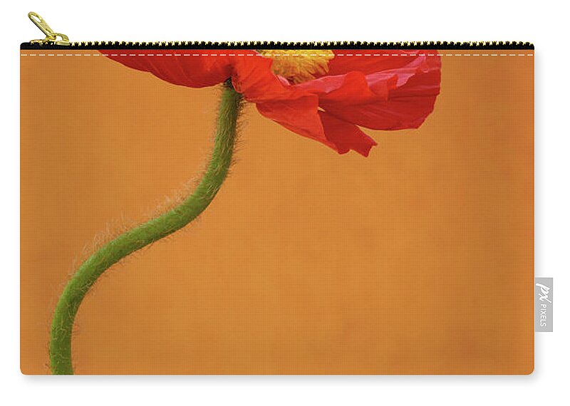 Poppy Carry-all Pouch featuring the photograph Beautiful and Vibrant Poppy by Tina Horne