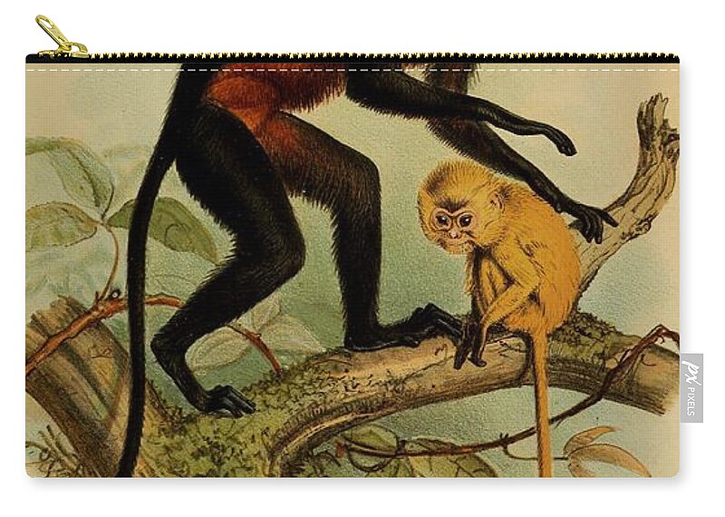 John Zip Pouch featuring the mixed media Beautiful Antique Monkey by World Art Collective