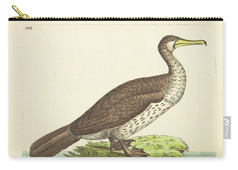 Ducks Zip Pouch featuring the mixed media Beautiful antique waterfowl by World Art Collective