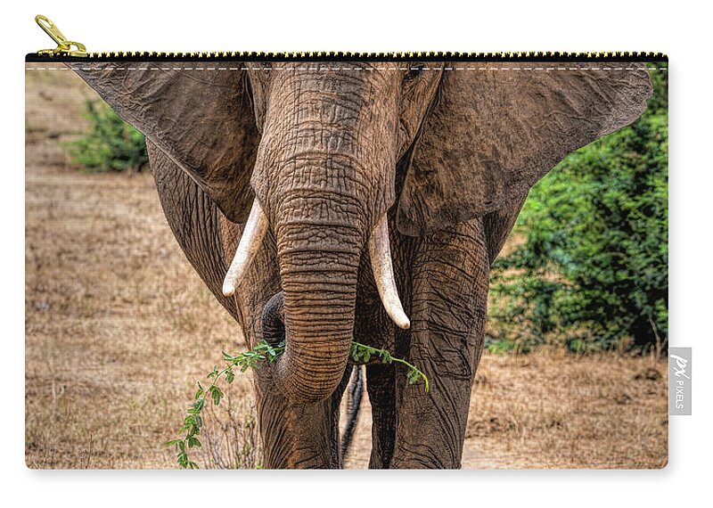 Beautiful Zip Pouch featuring the photograph Beautiful elephant in Tsavo East Kenya by Marjolein Van Middelkoop