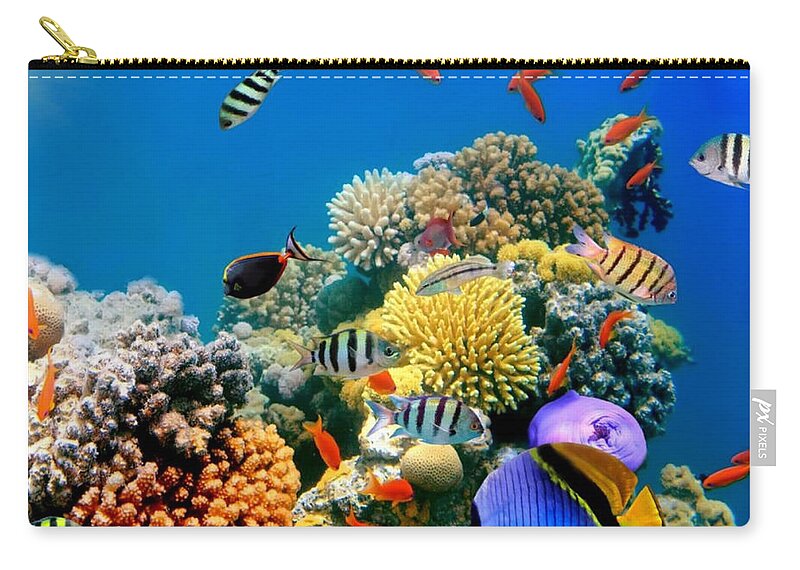 Fish Zip Pouch featuring the photograph Beautiful Fish On Coral Reef by World Art Collective
