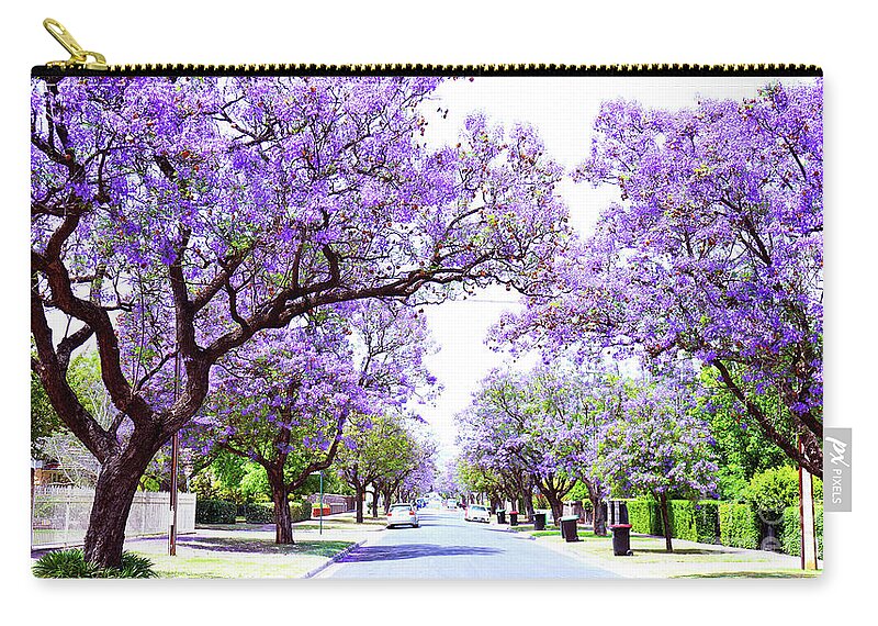 Jacaranda Carry-all Pouch featuring the photograph Beautiful purple flower Jacaranda tree lined street in full bloom. by Milleflore Images