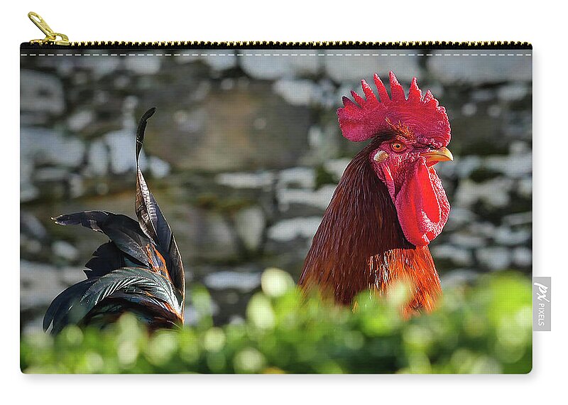 Rooster Zip Pouch featuring the photograph Beautiful Rooster by Louise Tanguay