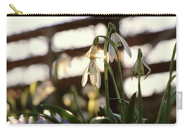 Misty Carry-all Pouch featuring the photograph White snowdrop in golden hours. by Vaclav Sonnek