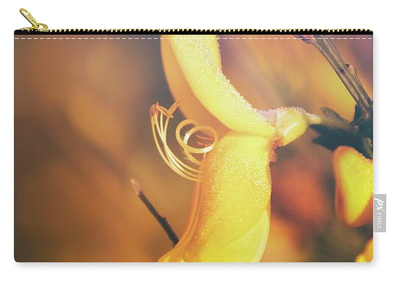 Cytisus Zip Pouch featuring the photograph Beauty Of Cytisus by Jaroslav Buna