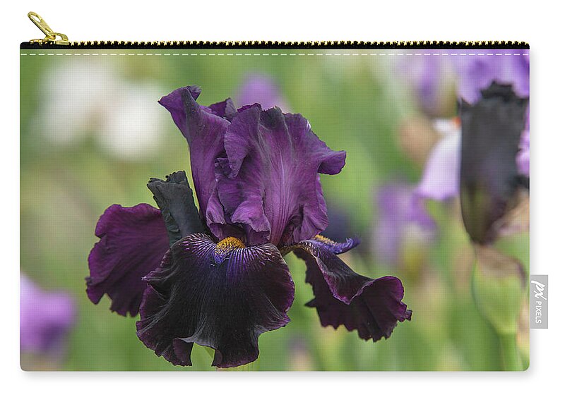 Jenny Rainbow Fine Art Photography Zip Pouch featuring the photograph Beauty Of Irises - Count Dracula by Jenny Rainbow