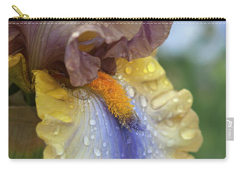 Jenny Rainbow Fine Art Photography Zip Pouch featuring the photograph Beauty Of Irises. Karibik Macro 1 by Jenny Rainbow