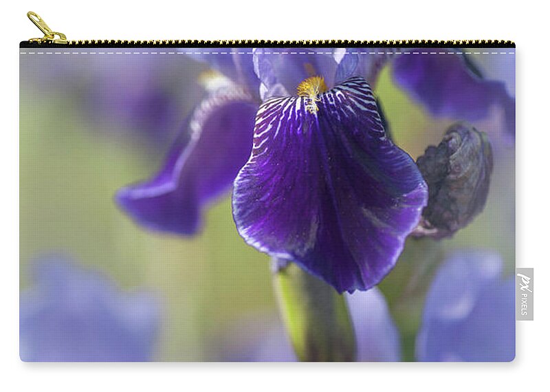 Jenny Rainbow Fine Art Photography Zip Pouch featuring the photograph Beauty Of Irises. Perfection by Jenny Rainbow