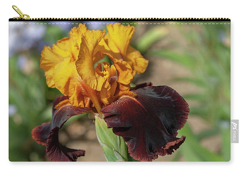 Jenny Rainbow Fine Art Photography Zip Pouch featuring the photograph Beauty Of Irises. Supreme Sultan 4 by Jenny Rainbow
