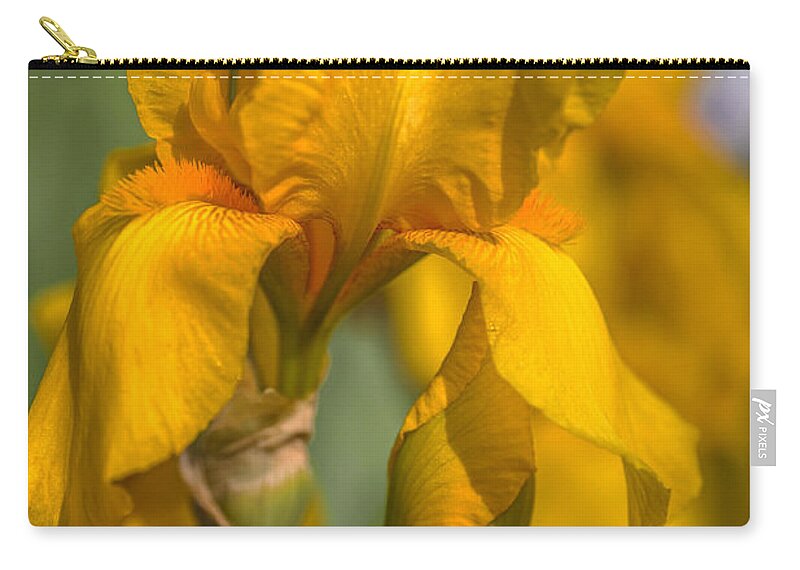 Jenny Rainbow Fine Art Photography Zip Pouch featuring the photograph Beauty Of Irises. Zlatokop by Jenny Rainbow