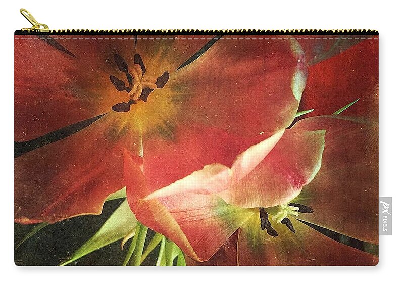 Tulips Zip Pouch featuring the photograph Becoming by Jennifer Preston