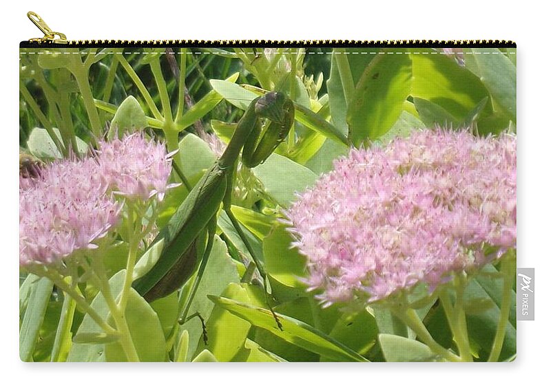 Bee Zip Pouch featuring the photograph Bee and Mantis by Christopher Reed