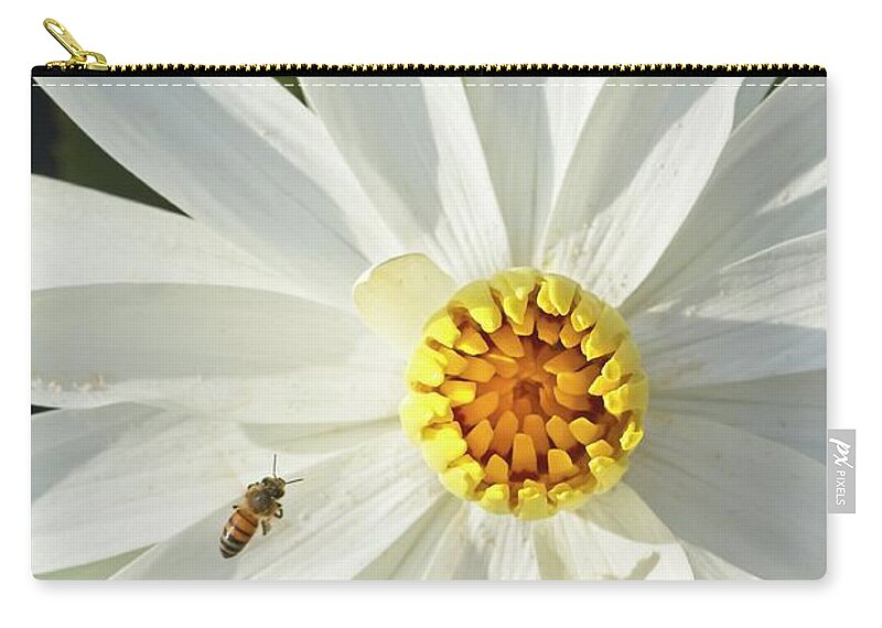 Bee Zip Pouch featuring the photograph Bee Approach by Paul Rebmann
