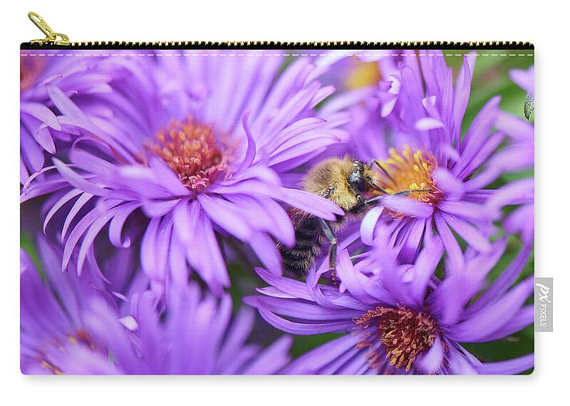 Aster Zip Pouch featuring the photograph Bee in Purple Aster by Paul Freidlund
