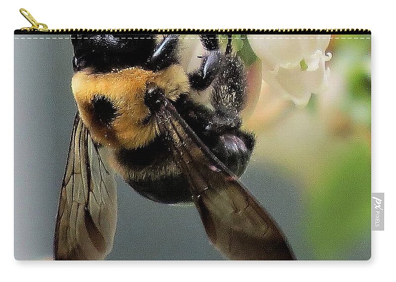 Insects Zip Pouch featuring the photograph Bee on Blueberry Blossoms by Linda Stern